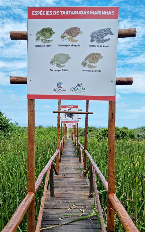 Praia de Abais: Sol, Mar e Tranquilidade Garantidos - inspiração 1