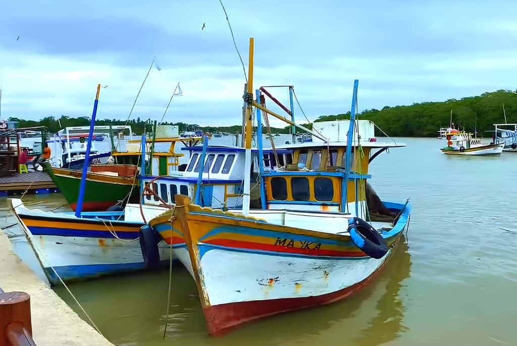 A História da Vila: Entendendo as Raízes Locais - inspiração 1