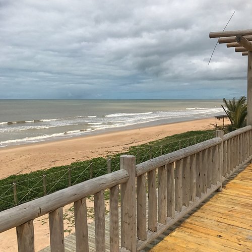 Passeios de Barco: Explorando a Costa e Manguezais - inspiração 1