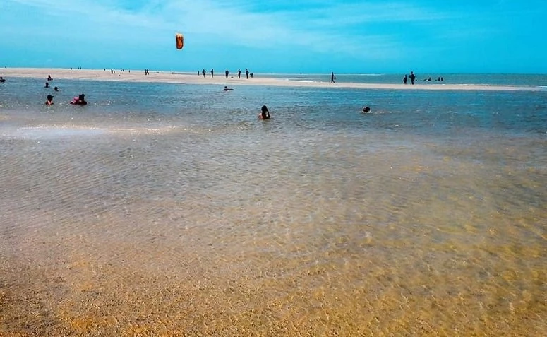 Passeios de Barco: Explorando a Costa e Manguezais - inspiração 2