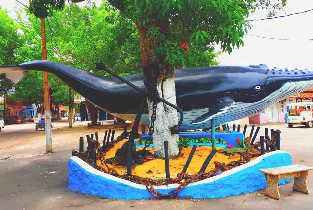 Pesca Esportiva: Para os Amantes da Adrenalina - inspiração 2