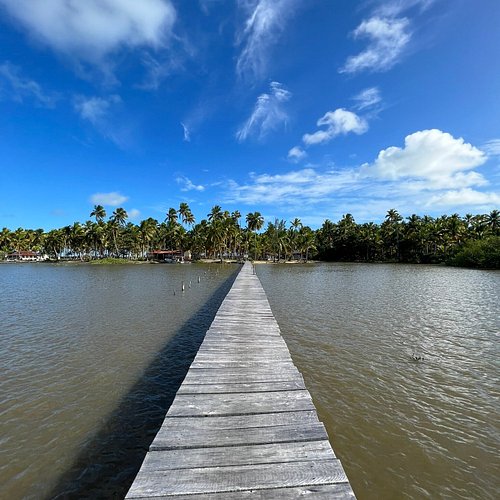 Caminhadas Ecológicas: Conectando-se com a Natureza - inspiração 1