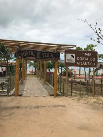 Caminhadas Ecológicas: Conectando-se com a Natureza - inspiração 2