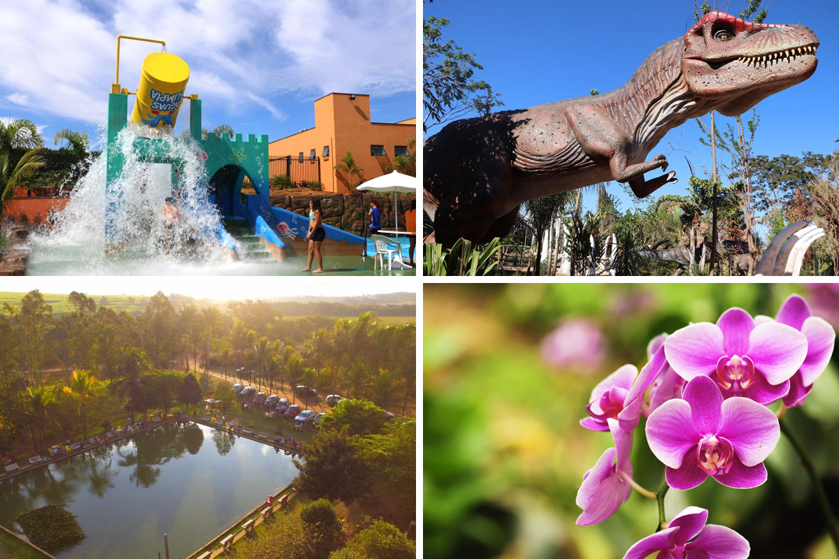 Acquamania Park: Aventura e Relax em um Só Lugar - inspiração 1