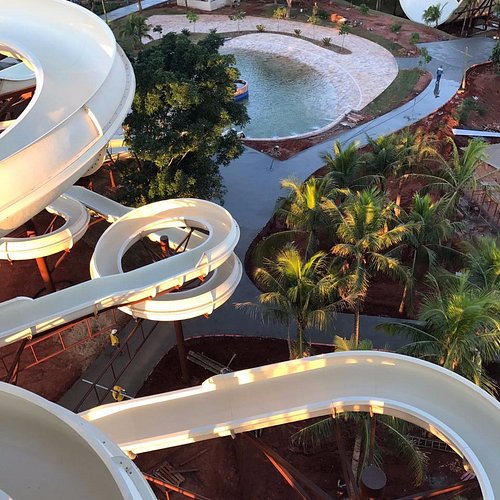 Orquidário e Jardim Japonês: Um Oásis de Tranquilidade - inspiração 2