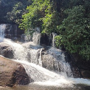 Descanso e Conexão com a Natureza Pura - inspiração 2