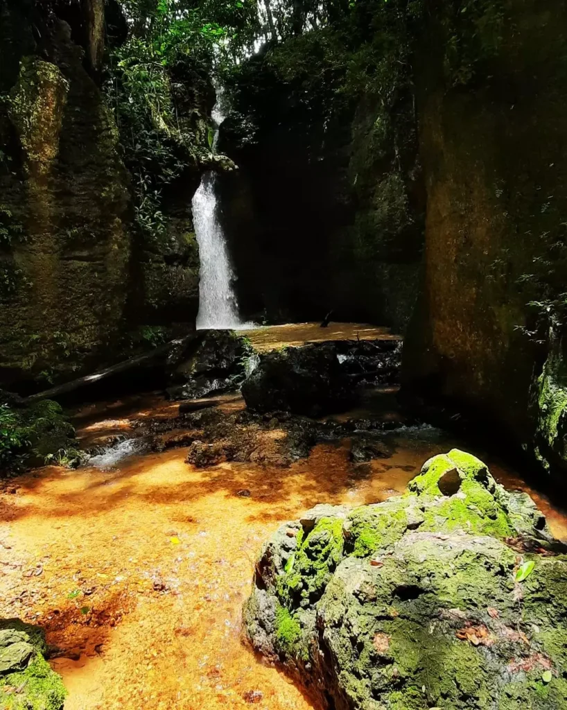 Gastronomia Uberabense: Do Churrasco ao Doce de Leite - inspiração 2