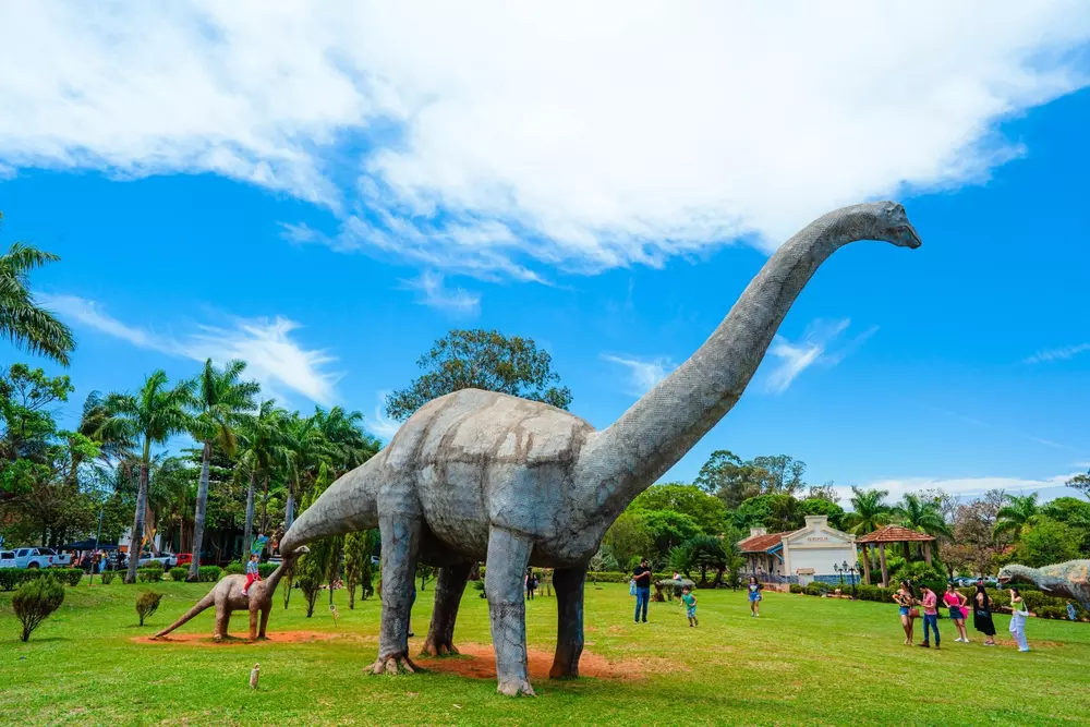 Passeio Verde no Parque das Mangabeiras - inspiração 2