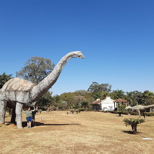 Sabores Locais no Mercado Municipal - inspiração 1