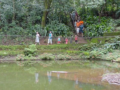 Aventura e Natureza no Parque do Mirante - inspiração 2