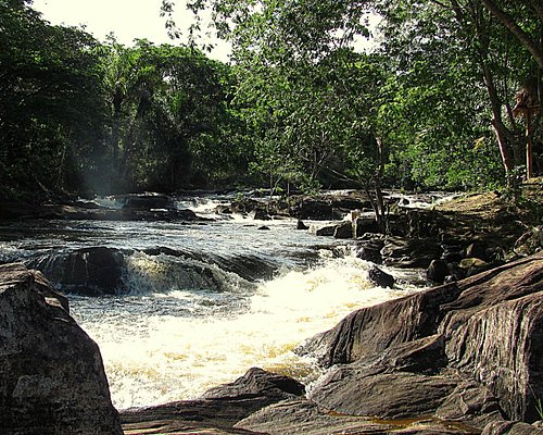 Eventos e Festividades: Quando a Cidade Ganha Mais Cores - inspiração 2