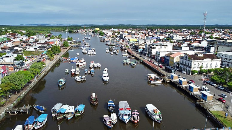 Trilhas e Natureza: Explore a Mata Atlântica Preservada - inspiração 1