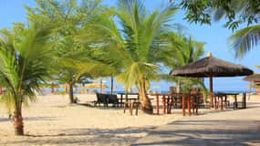 Trilhas e Natureza: Explore a Mata Atlântica Preservada - inspiração 2