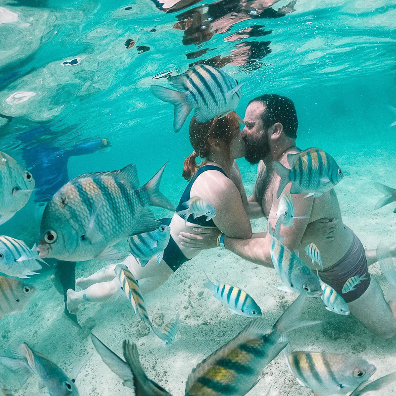 Chalés e Bangalôs: Privacidade e Romantismo em Contato com a Natureza - inspiração 2