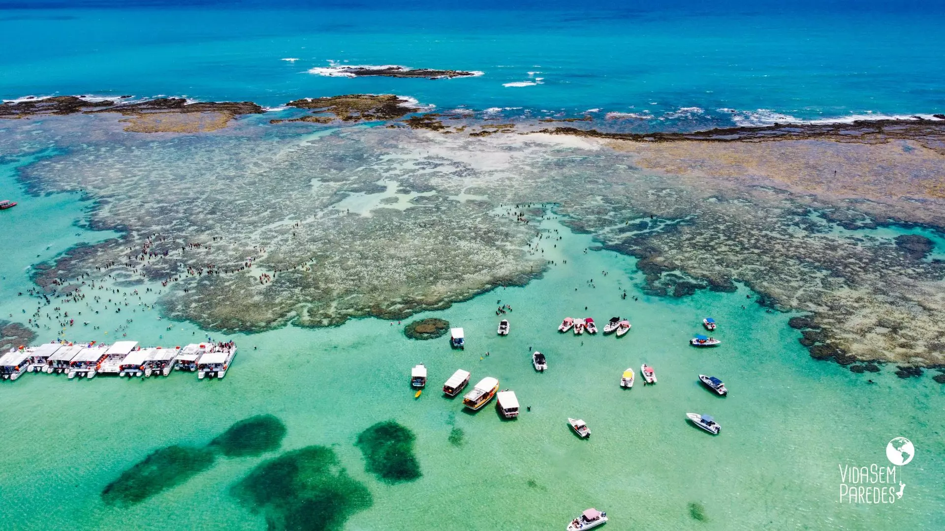 Hospedagem Pet-Friendly: Leve seu Melhor Amigo para a Viagem - inspiração 1