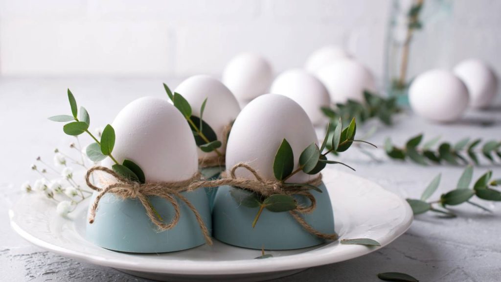 Acesso a Ovos Mais Nutritivos e Saborosos - inspiração 2