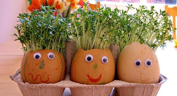 Redução do Desperdício de Alimentos e Controle da Origem - inspiração 1