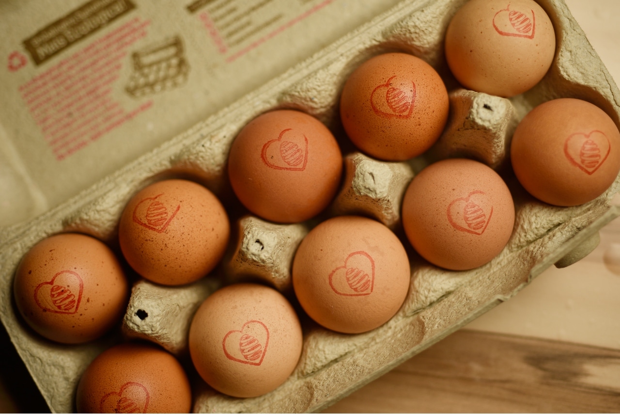 Contribuição para a Sustentabilidade e o Meio Ambiente - inspiração 2