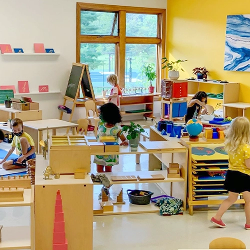 Investimento e Retorno: Cursos Montessori e Seu Futuro Profissional - inspiração 2