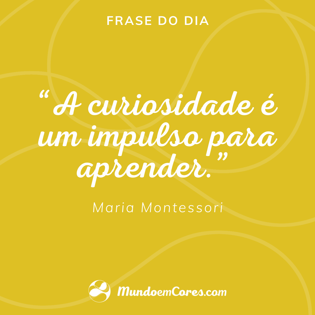 A Importância da Observação e da Individualidade - inspiração 2