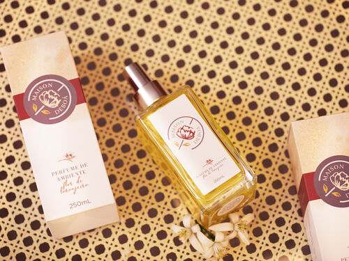 A Extração Mágica: De onde vem esse aroma? - inspiração 2