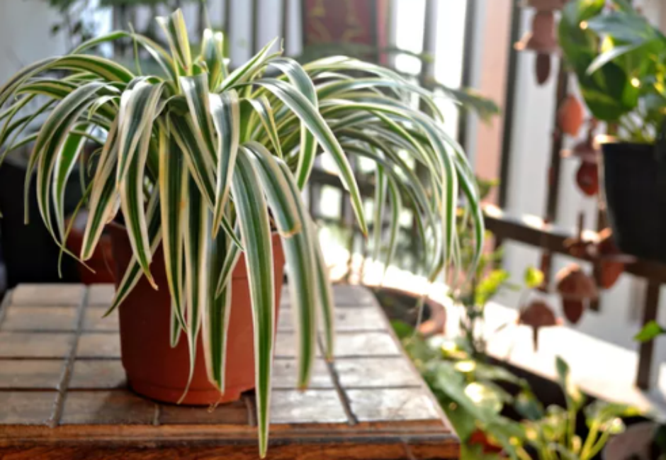 Combate a Poluentes Específicos: Indo Além do Básico - inspiração 2