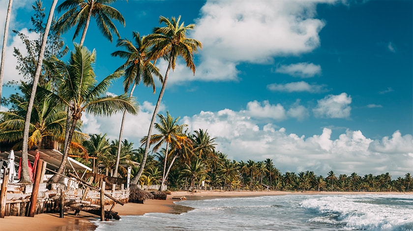 Ilhéus: A Terra de Jorge Amado e Suas Praias Históricas - inspiração 1