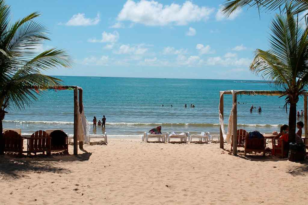 Canavieiras: A Pesca Esportiva e o Encanto das Tartarugas Marinhas - inspiração 1