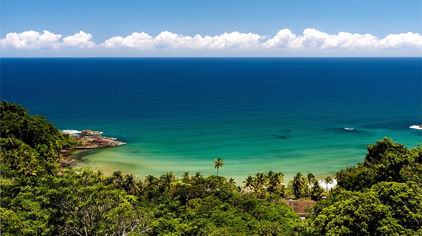 Canavieiras: A Pesca Esportiva e o Encanto das Tartarugas Marinhas - inspiração 2
