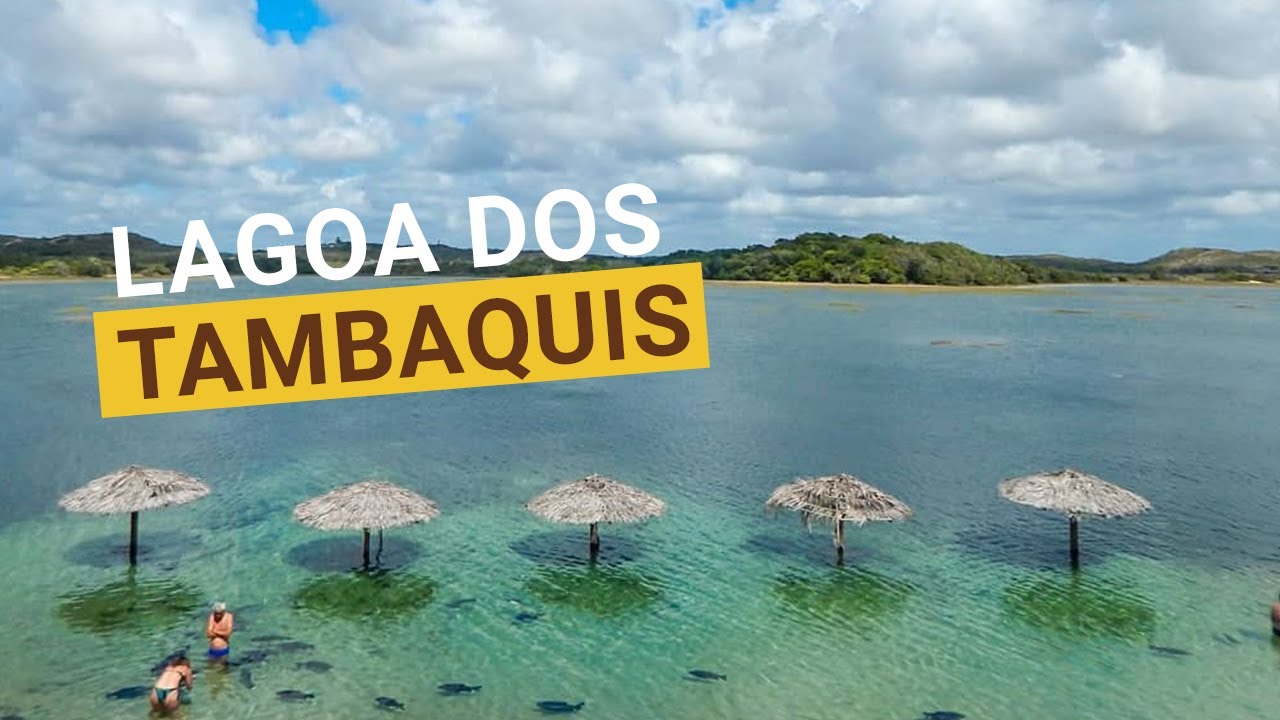 Praia da Crasto: Tranquilidade e Mar Calmo para Famílias - inspiração 1