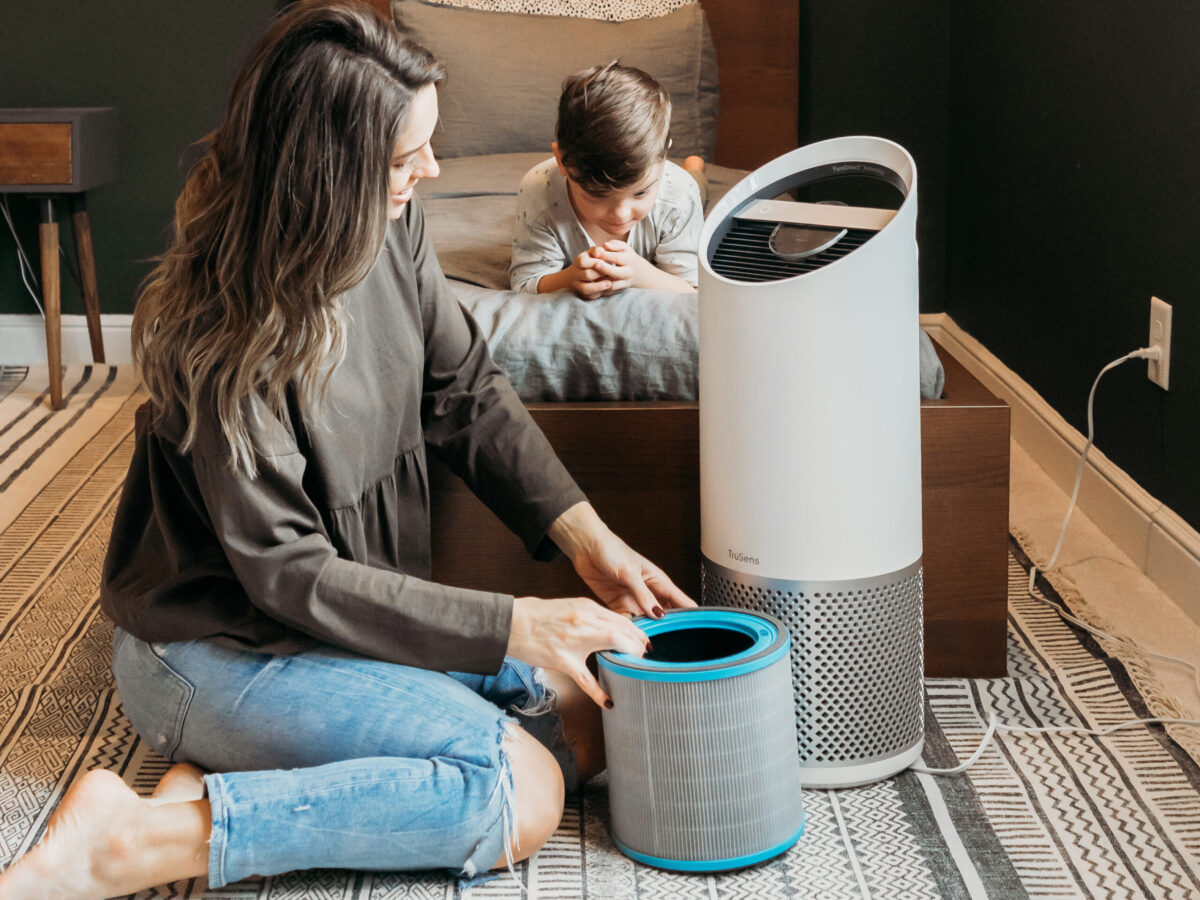 Entendendo a Tecnologia Por Trás do Ar Puro: Como Funciona um Purificador Inteligente? - inspiração 1