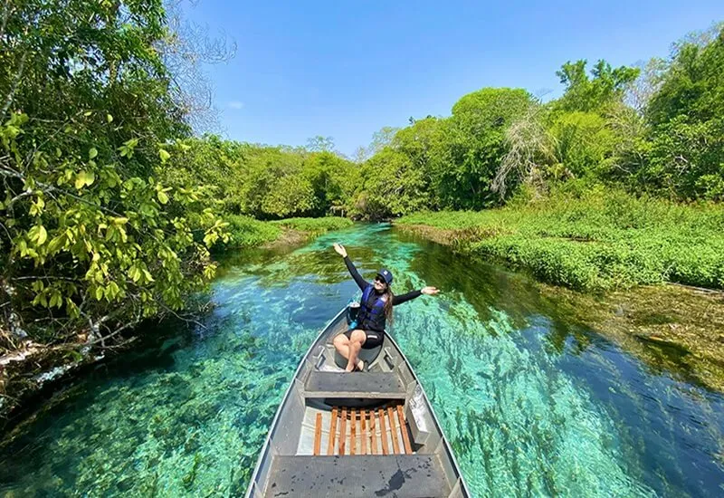 Melhor Época para Visitar o Pantanal: Escolhendo o Momento Certo - inspiração 1