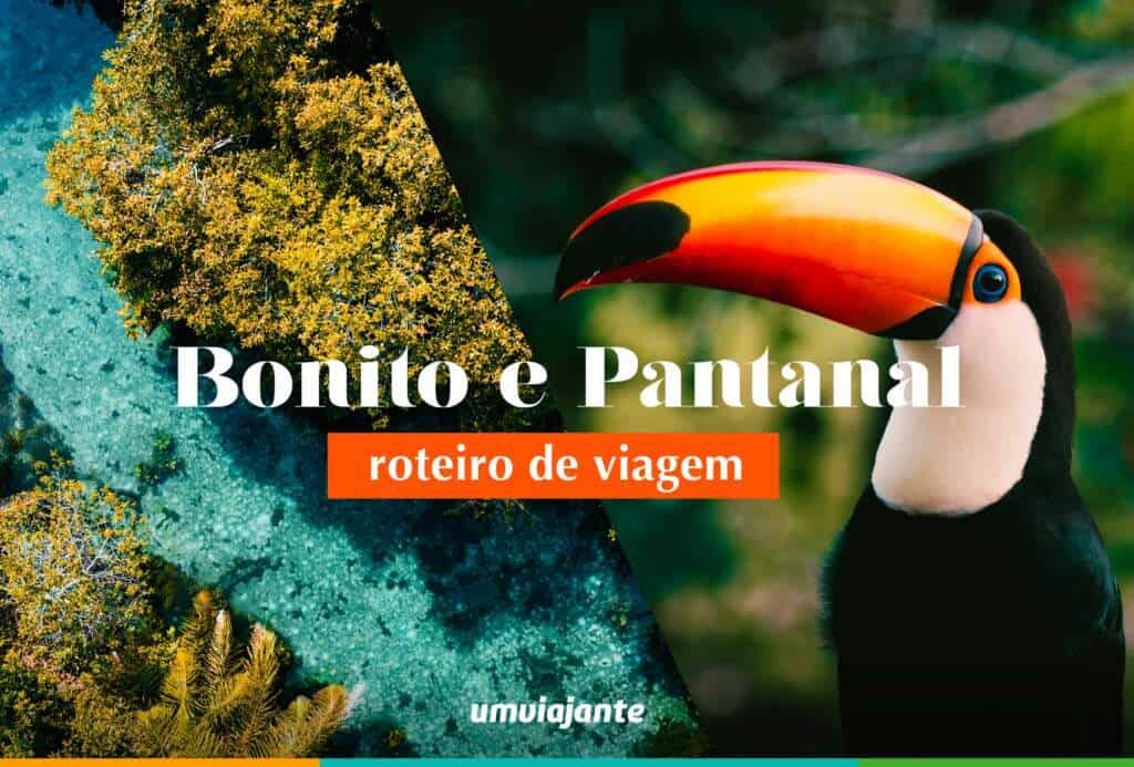 Melhor Época para Visitar o Pantanal: Escolhendo o Momento Certo - inspiração 2