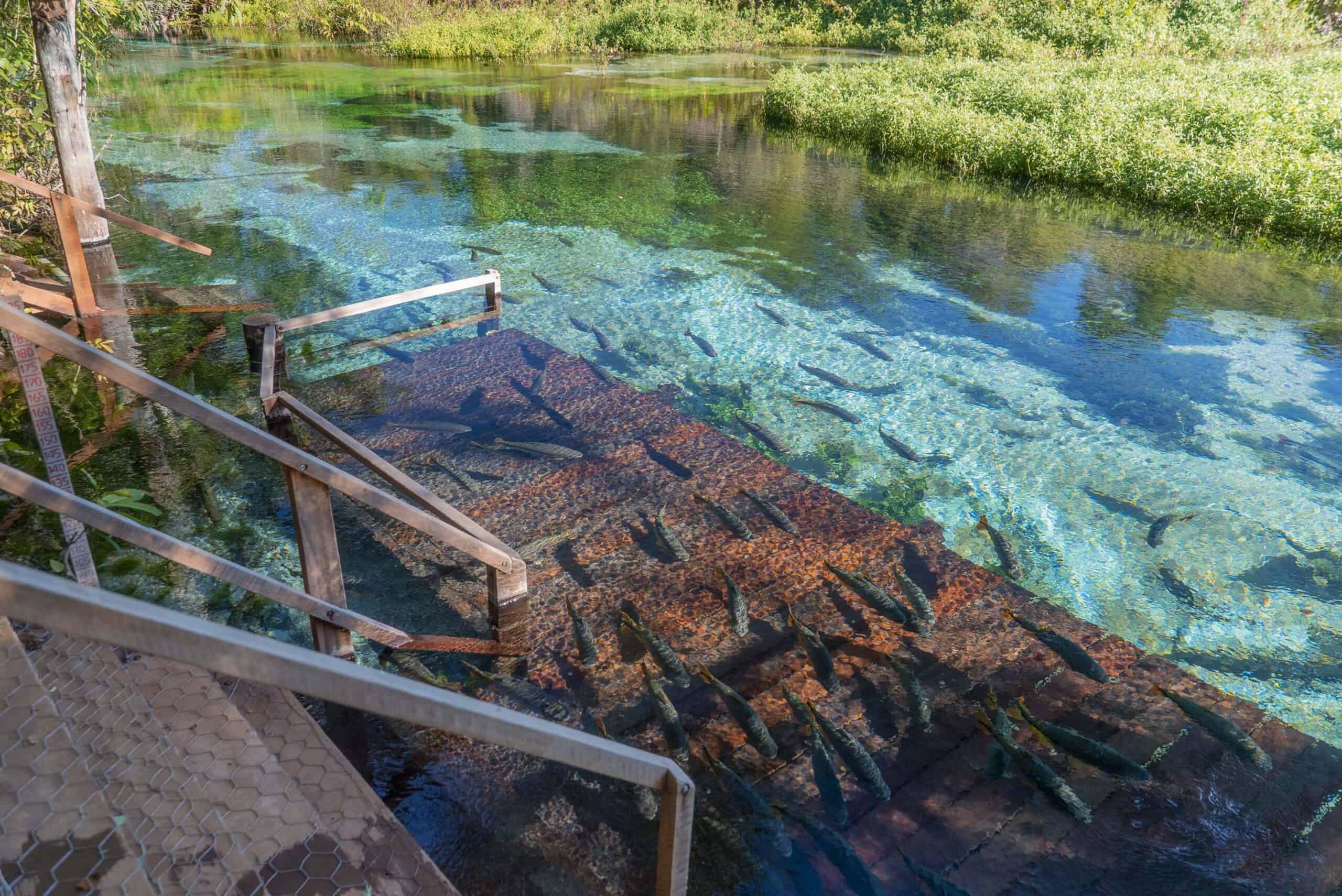 Onde Ficar: Pousadas e Fazendas para Todos os Bolsos - inspiração 2