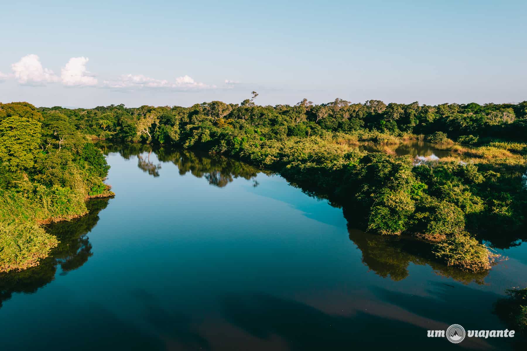 O Que Fazer no Pantanal: Safáris, Trilhas e Observação de Fauna - inspiração 1