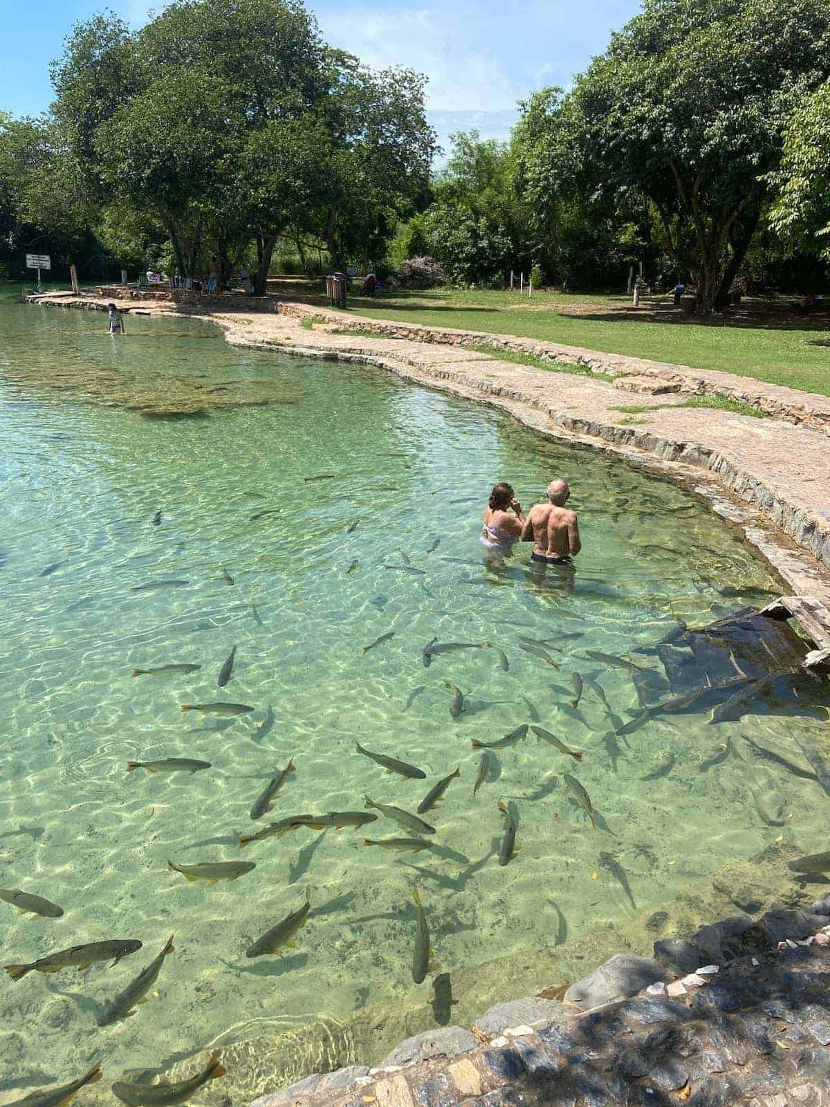 Equipamentos Indispensáveis para sua Viagem - inspiração 1