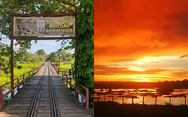 Dicas de Segurança no Pantanal: Preserve sua Aventura - inspiração 1