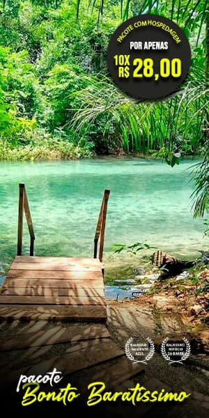 Gastronomia Pantaneira: Sabores que Você Precisa Experimentar - inspiração 1