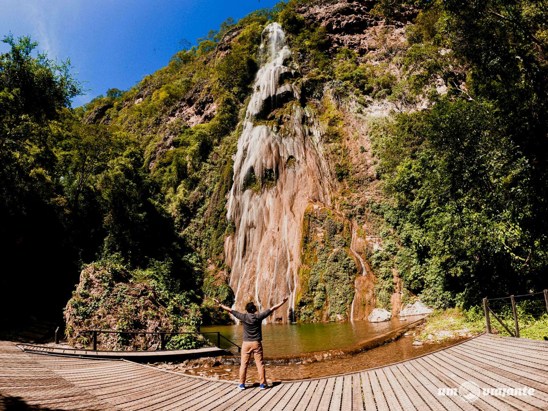Fotografia de Vida Selvagem: Capturando Momentos Únicos - inspiração 1