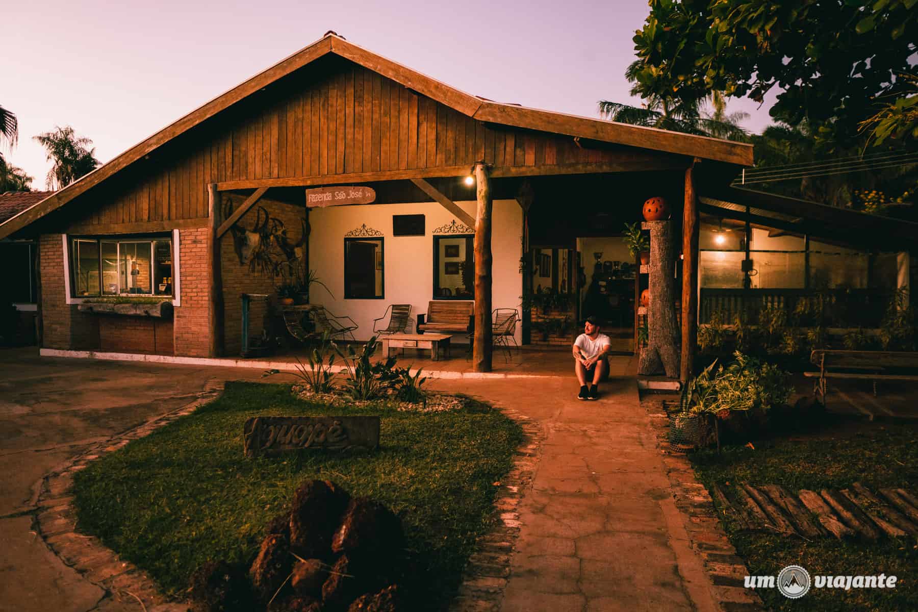 Fotografia de Vida Selvagem: Capturando Momentos Únicos - inspiração 2