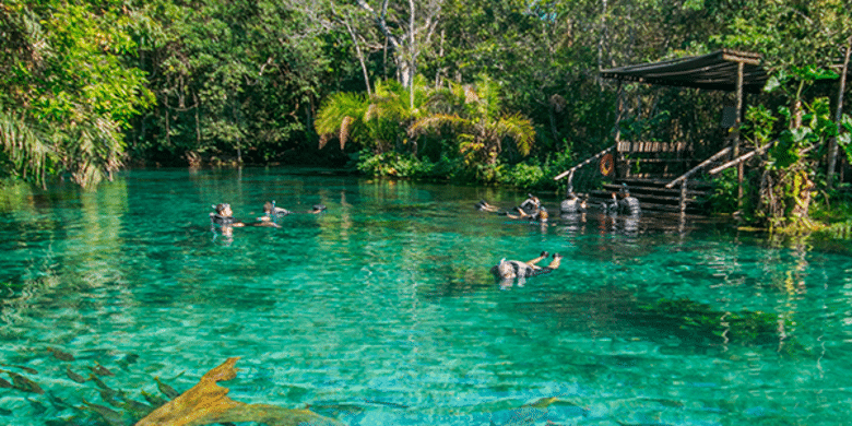Bonito: Mergulho em Cânions e Nascentes Cristalinas - inspiração 2