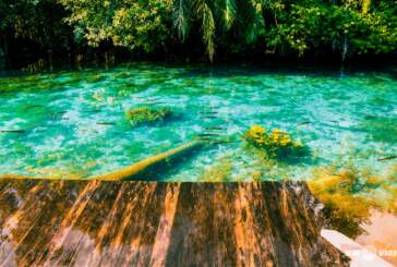 Serra da Bodoquena: Aventuras em Cachoeiras e Trilhas - inspiração 1
