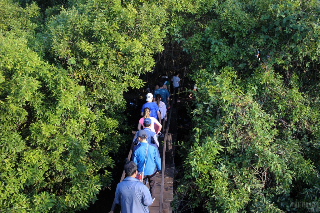Parque das Cachoeiras: A Diversidade Hídrica da Região - inspiração 1