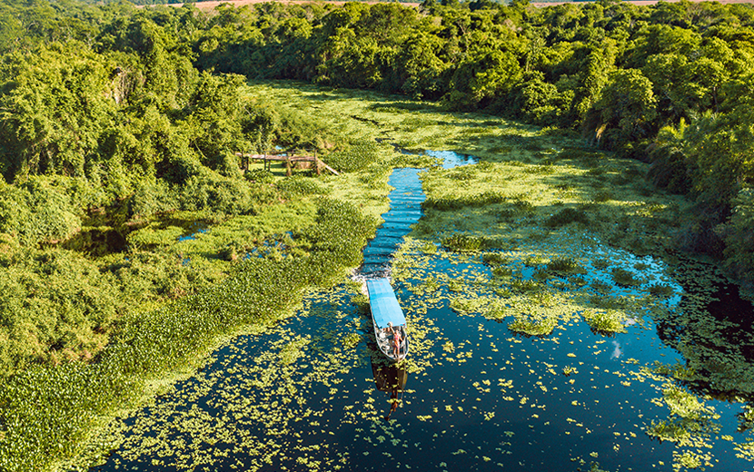 Rio Sucuri: Um Passeio Tranquilo pelas Águas Azuis - inspiração 2