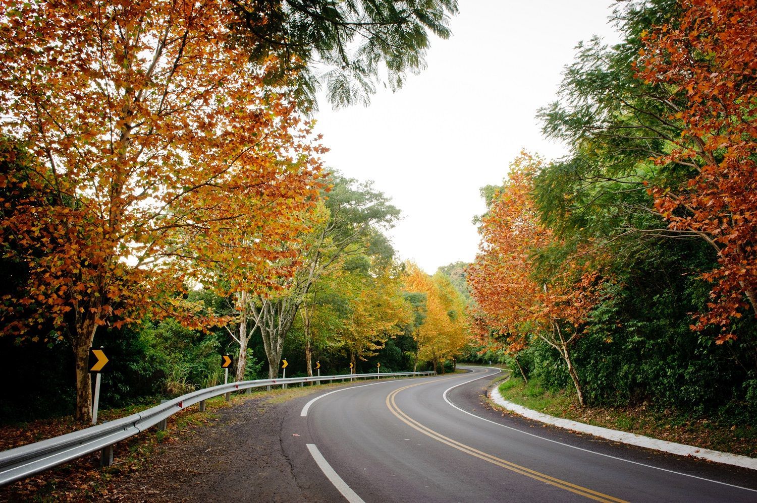 Dicas de Ouro: Hospedagem, Transporte e Segurança - inspiração 1