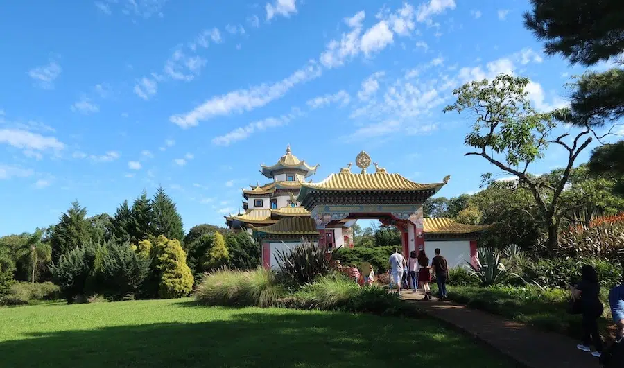 Cultura e Sabores: Gastronomia e Tradições Locais - inspiração 1