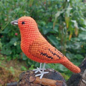 Quando Considerar Intervenções Mais Diretas (e Seguras) - inspiração 1