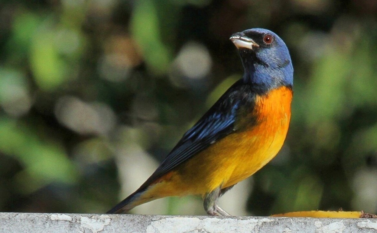 Quando Considerar Intervenções Mais Diretas (e Seguras) - inspiração 2