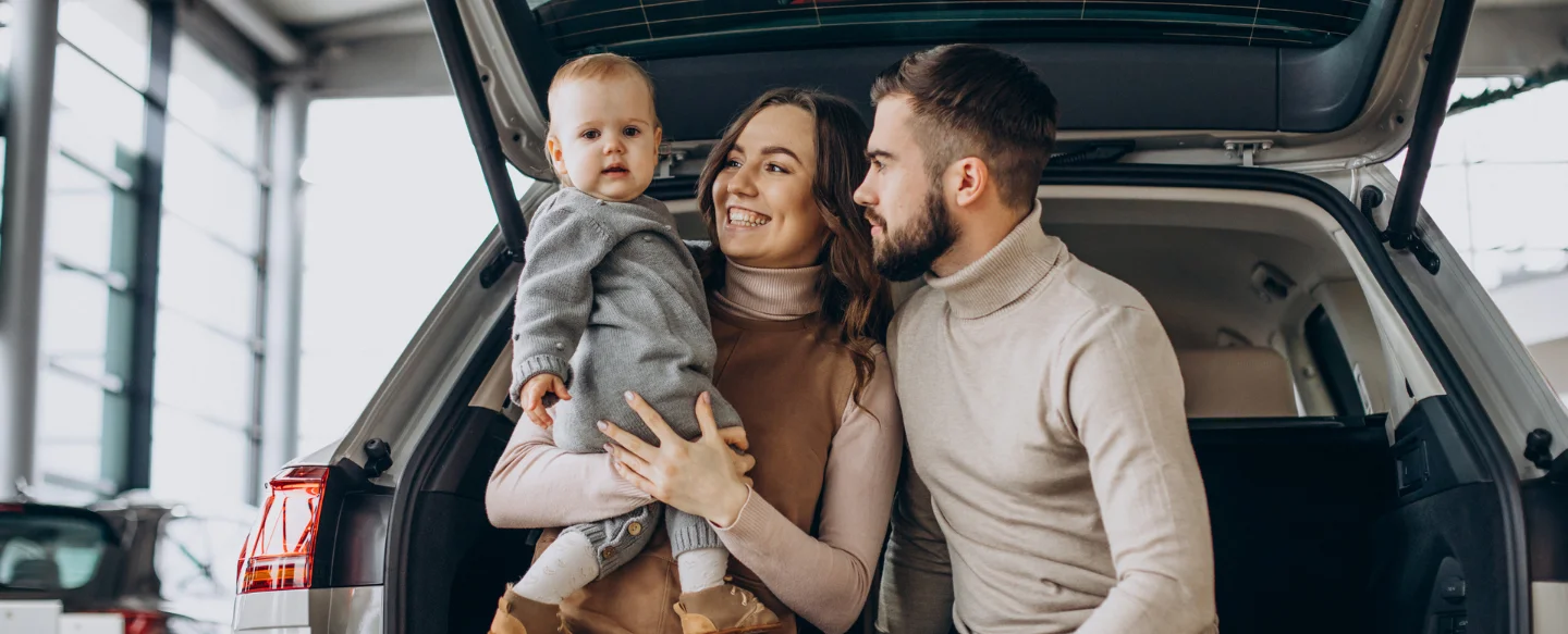 Cuidados Específicos com Bebês Recém-Nascidos no Carro - inspiração 1