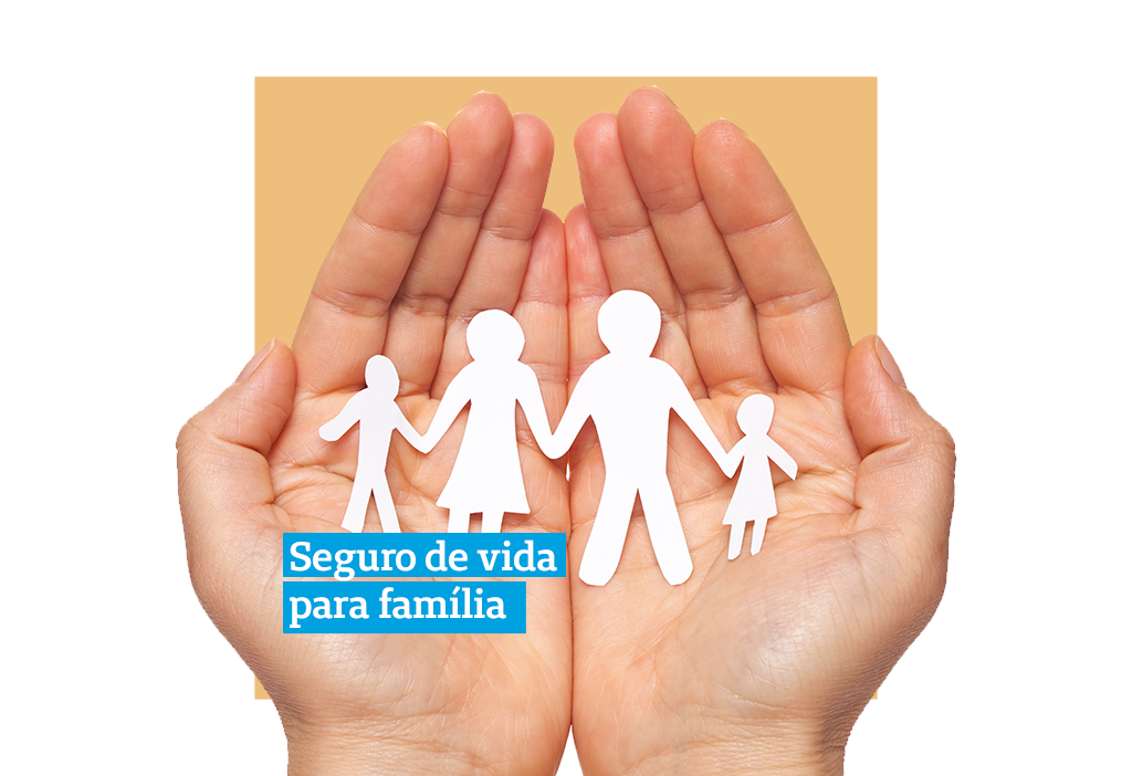 Seguro de Vida no Brasil: Opções e coberturas que você precisa conhecer. - inspiração 1